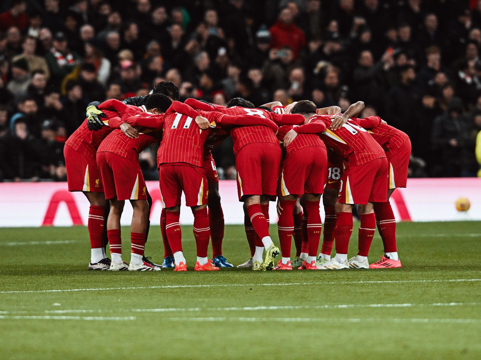 逻辑会被瞬 逻辑会被瞬